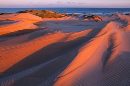 Forvie dunes