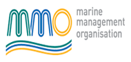 mmo logo